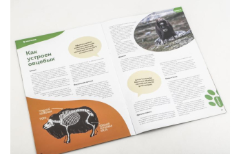 Дикие животные России № 31: Овцебык