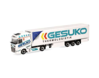 DAF XG refrigerated trailer *GESUKO*, various