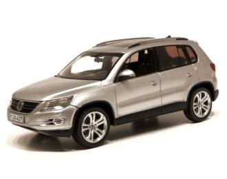 VOLKSWAGEN Tiguan (2007), Track & Field silver