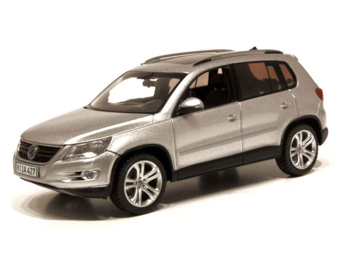 VOLKSWAGEN Tiguan (2007), Track & Field silver