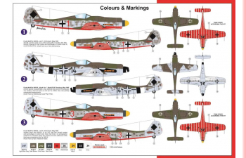 Сборная модель Focke-Wulf Fw 190D-9 "Special Marking"