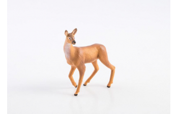 Дикие животные России № 14: Косуля (только вложение)