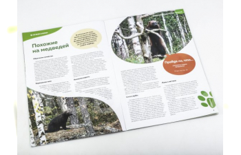 Дикие животные России № 15: Росомаха