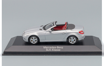 MERCEDES-BENZ SLK-Classe Cabrio R171 (2004), silver