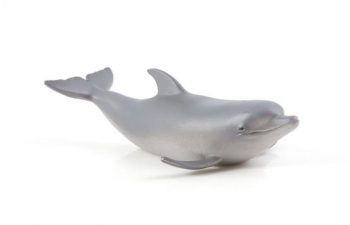 Дикие животные России № 16: Дельфин афалина (только вложение)