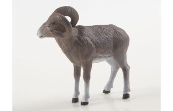 Дикие животные России № 37: Аргали