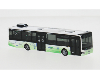 MAN Lion s City 12 DB Regio Bus Mitte - NVV (2018)