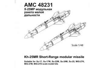 Набор для доработки Советская / российская ракета класса воздух-поверхность Х-25МР с пилоном АПУ-68УМ2 (karen-10) (2 шт.)