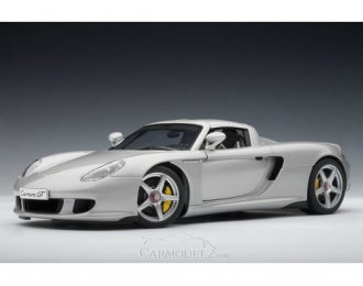 Porsche Carrera GT (silver with black interior)