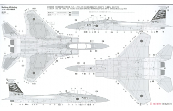 Сборная модель F-15DJ Eagle `Pacific Skies 2024´