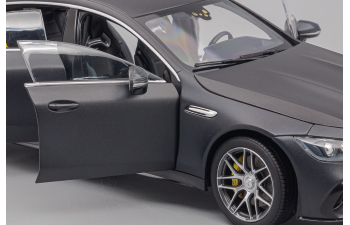 MERCEDES-BENZ AMG GT63s, gray matt