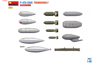 Сборная модель DRAGON WINGS P-47D-25RE Thunderbolt Airplane Military