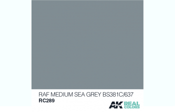 RAF Medium Sea Grey BS381C/637