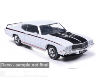 BUICK GSX (1970), white/black