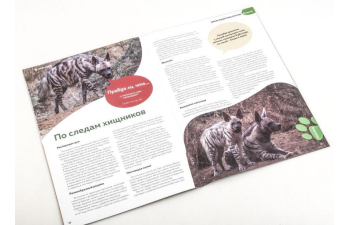 Дикие животные России № 35: Полосатая гиена