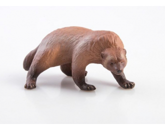 Дикие животные России № 15: Росомаха (только вложение)