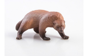 Дикие животные России № 15: Росомаха