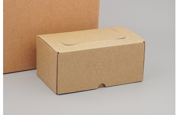 Бокс с деревянным подиумом Береза