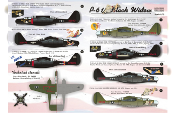 P-61 Black Widow Wet decal