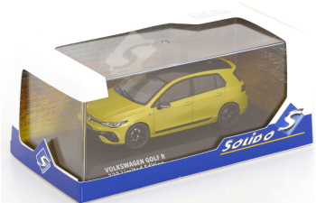 VOLKSWAGEN Golf R 333 Limited Edition, light green-metallic