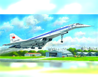 Сборная модель Ту-144Д, Советский сверхзвуковой пассажирский самолет