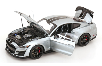 FORD Mustang Shelby GT 500, silver black