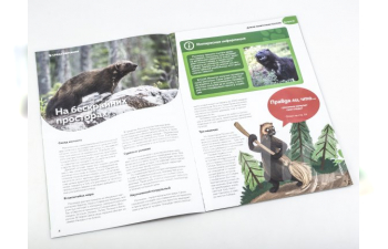 Дикие животные России № 15: Росомаха