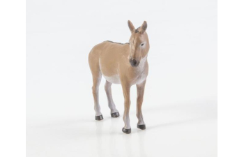 Дикие животные России № 25: Кулан (только вложение)