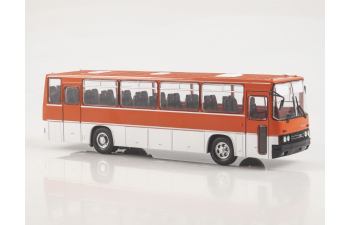 IKARUS-256 Звезда магистралей, Наши автобусы 31-1