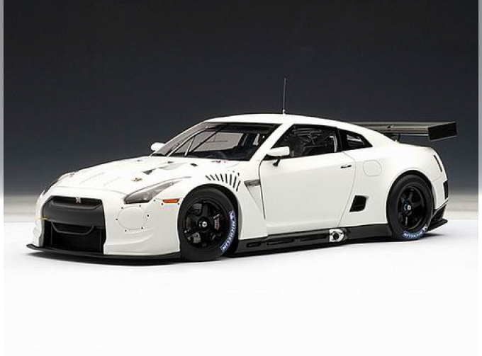 NISSAN GT-R GT1 FIA-GT 2010, matt white