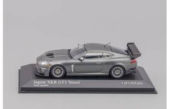 JAGUAR XKR GT3 (2008), grey metallic