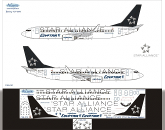 Декаль на самолет боенг 737-800 (star alance)