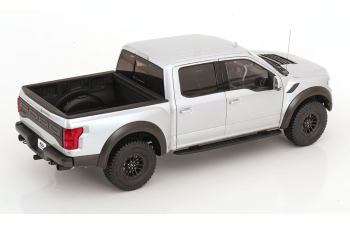 FORD F-150 Raptor Supercrew (2019), ingot silver