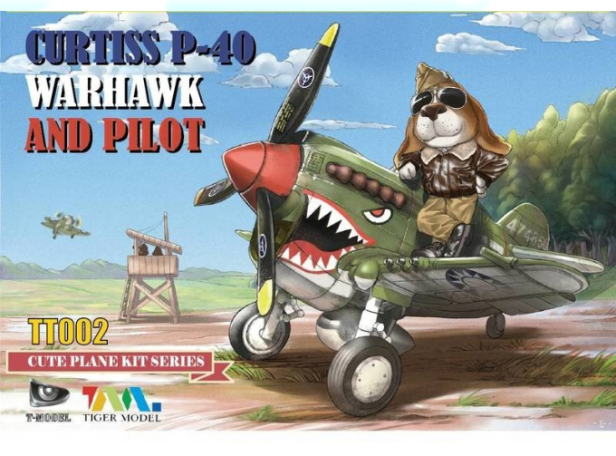 Сборная модель Curtiss P-40 Warhawk Fighter And Pilot