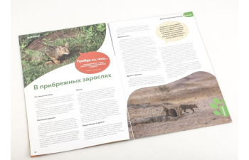 Дикие животные России № 38: Камышовый кот