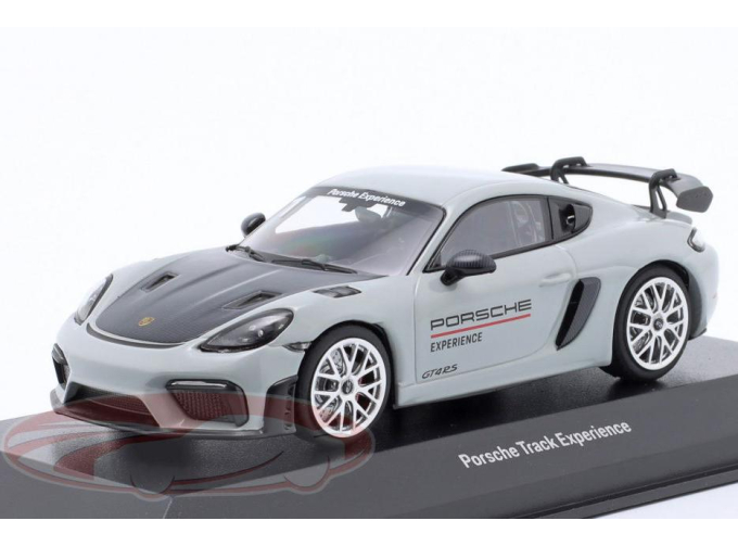 PORSCHE Cayman 718 (982) GT4 RS Track Experience, sport grey / black