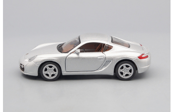 PORSCHE Cayman S, silver