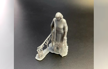 Ферма: гуси