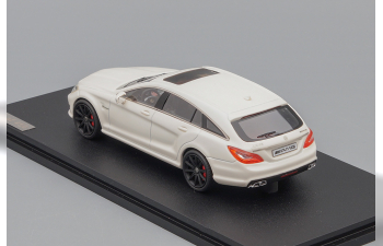 MERCEDES-BENZ CLS63 AMG Shooting Brake Х218 (2014), white