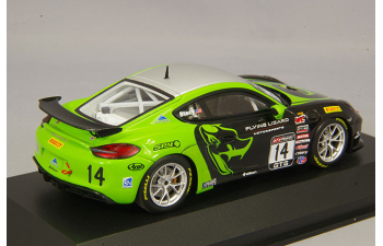 PORSCHE Cayman GT4 Clubsport MR #14 Nate Stacy Pirelli World Challenges GTS *Resin Series* (2017), black/green