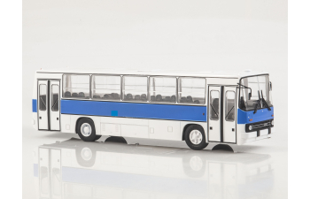 Икарус-260.51, Наши Автобусы 81