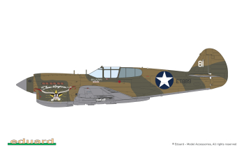 Сборная модель P-40E Warhawk Weekend Edition