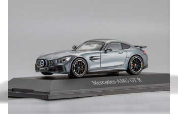 MERCEDES-BENZ AMG GTR Coupe (C190), grey metallic