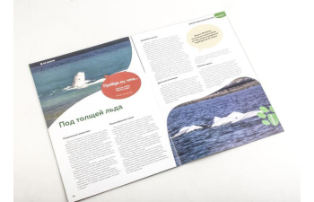 Дикие животные России № 33: Белуха