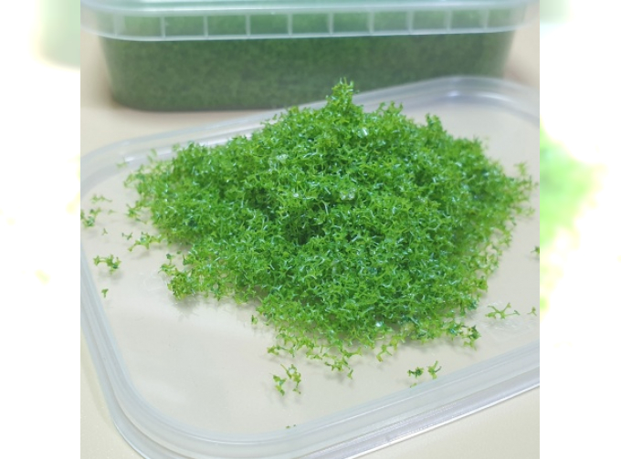 Присыпка хвоя мусульманский зелёный, 200 мл