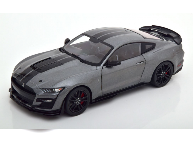 FORD Shelby Mustang GT500 (2020), graumetallic/schwarz