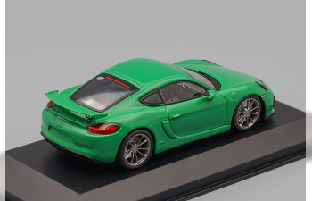 PORSCHE 718 CAYMAN GT4, Vipergreen