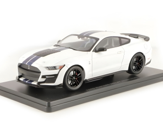 Ford Mustang SHELBY GT500 (2020), Ford Mustang