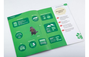 Дикие животные России № 8: Бобр