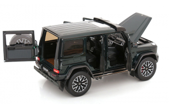 MERCEDES-BENZ AMG G63 W463 4x4 (2022), green
